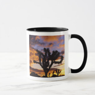 Caneca Espetacular amanhecer no Parque Nacional de Joshua