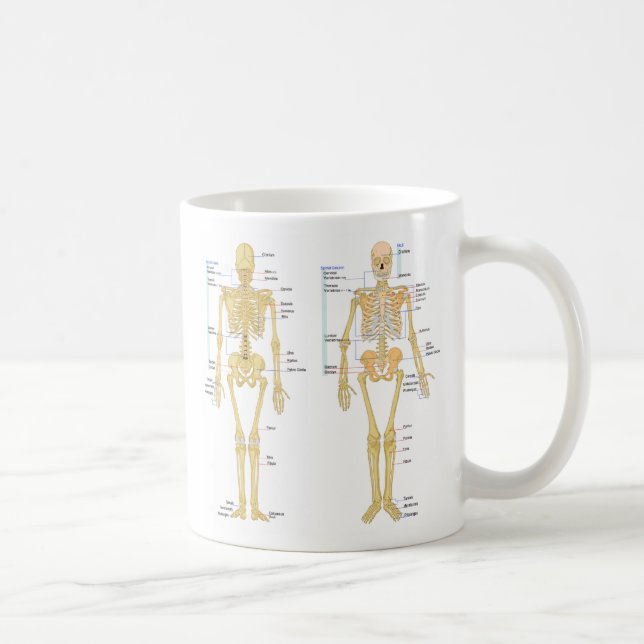 Caneca Esqueleto humano etiquetado carta da anatomia (Direita)