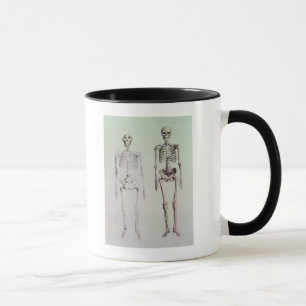 Caneca Esqueletos do Australopithecus Boisei