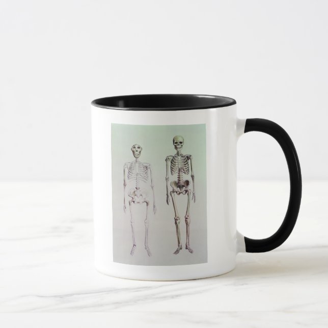 Caneca Esqueletos do Australopithecus Boisei (Direita)