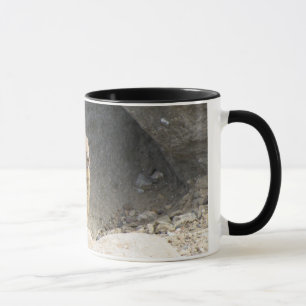 Caneca Esquilo à terra
