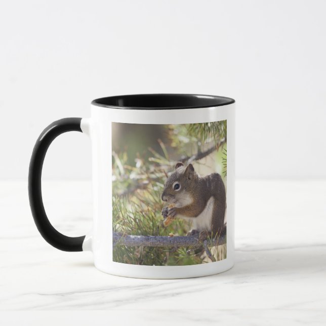 Caneca Esquilo que come um cone 2 do pinho (Esquerda)