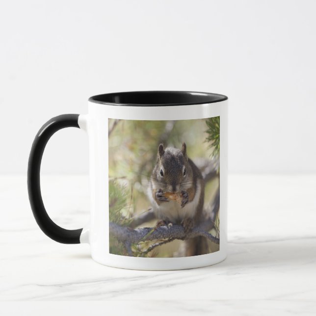Caneca Esquilo que come um cone do pinho (Esquerda)