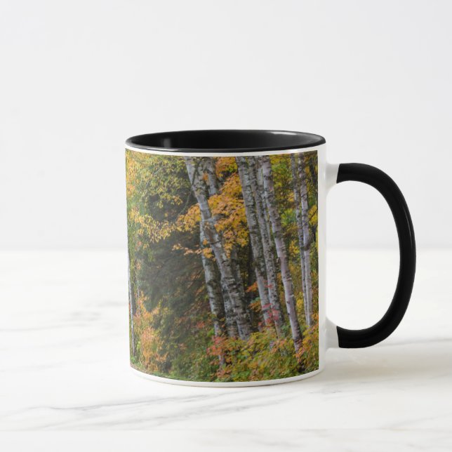 Caneca Estrada de Cascalho Coberta de Folhas com Cores de (Direita)