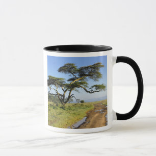 Caneca Estrada de terra primitiva e aracácia, Lago Nakur