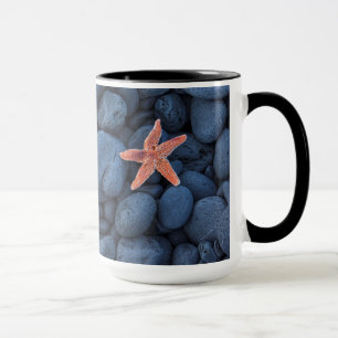 Caneca Estrela do mar em rochas pretas ao longo da costa