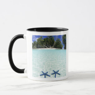 Caneca Estrelas-do-mar, Ilhas Rochosas, Palau