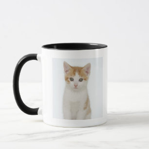 Caneca Estúdio disparado do gatinho