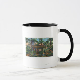 Caneca Estudo de Mark Twain na Quarry Fazenda, East Hill