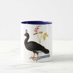 Caneca Estudo de um Curassow Capturado, Arcimboldo