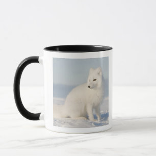 Caneca EUA, Alasca, 1002 Planície Costeira do Ártico 5