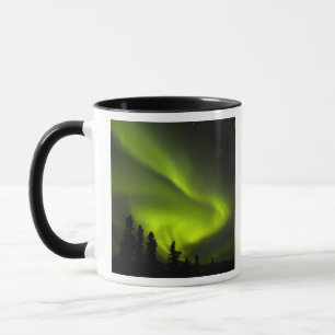Caneca EUA, Alasca, Chena Hot Springs. Aurora Boreal 2