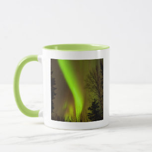 Caneca EUA, Alasca, Chena Hot Springs. Vista da Aurora