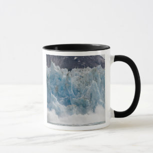 Caneca EUA, Alasca, Floresta Nacional Tongass, Tracy