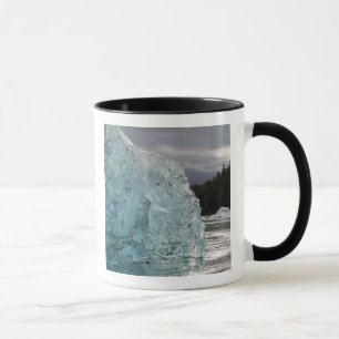 Caneca EUA, Alasca, Floresta Nacional Tongass, Tracy 2