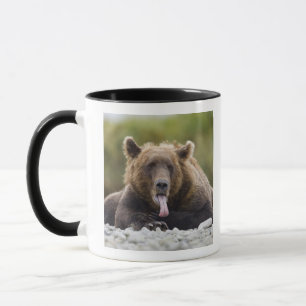 Caneca EUA, Alasca, Parque Nacional de Katmai, Baía de Ku