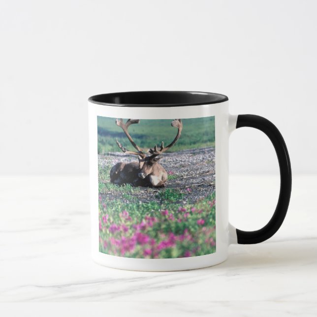 Caneca EUA, Alasca, Parque Nacional Denali, Rena (Direita)