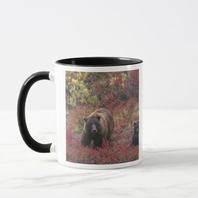 Caneca EUA, Alasca, Parque Nacional Denali. Urso pardo (Esquerda)