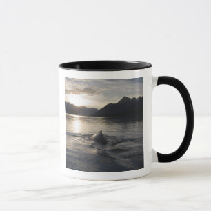 Caneca EUA, Alasca, Parque Nacional Glacier Bay,