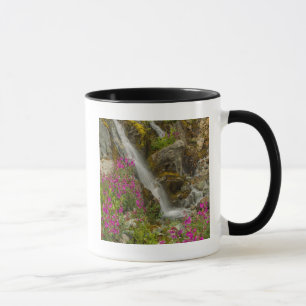 Caneca EUA, Alasca, Parque Nacional Glacier Bay. Fireweed