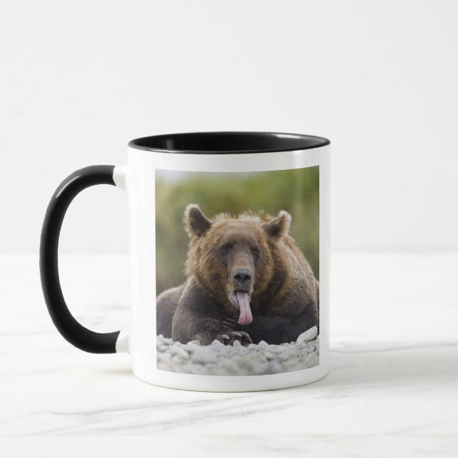 Caneca EUA, Alasca, Parque Nacional Katmai, Baía Kukak, (Esquerda)