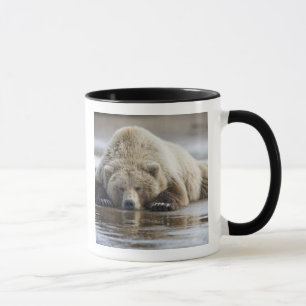 Caneca EUA, Alasca, Parque Nacional Katmai, Urso Pardo