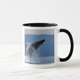 Caneca EUA, Alaska, Angoon, baleia de Humpback (Megaptera