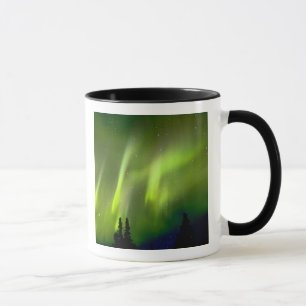 Caneca EUA, Alaska, Chena Hot Primaveras.Aurora 3
