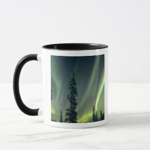 Caneca EUA, área de Fairbanks, centro do Alasca, Aurora