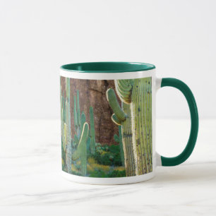 Caneca EUA, Arizona. Campo de Cactus Saguaro por um penha