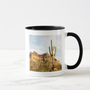 Caneca EUA, Arizona, Floresta Nacional de Tonto, Picketpo