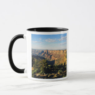 Caneca EUA, Arizona, Parque Nacional Grand Canyon, Vista