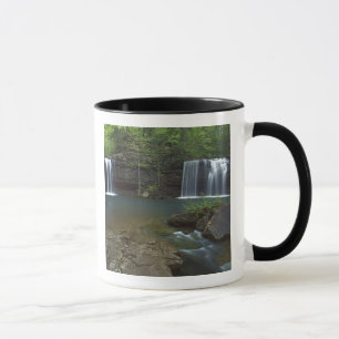 Caneca EUA, Arkansas, Ozark- St Francis Nacional