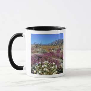 Caneca EUA, Califórnia, Anza-Borrego DSP. Duna ao anoitec