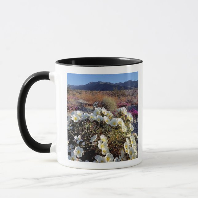 Caneca EUA, Califórnia, Anza-Borrego DSP. Dune evening 2 (Esquerda)