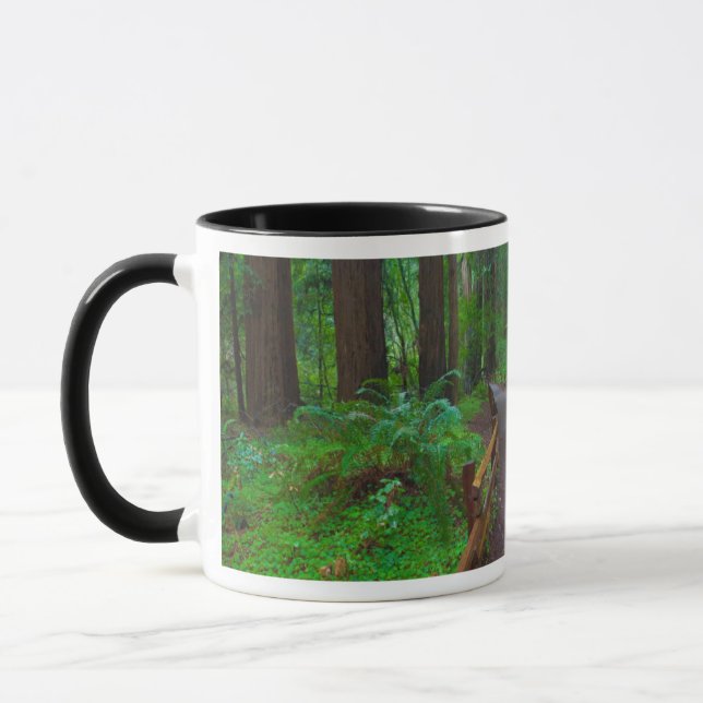 Caneca EUA, Califórnia. Caminho Entre Sequoias (Esquerda)