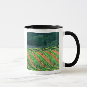 Caneca EUA, Califórnia, Condado de Mendocino, uma emparri