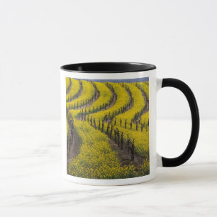 Caneca EUA, Califórnia, Napa Valley, Los Carneros Ava.