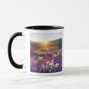 Caneca EUA, Califórnia, Parque Estadual do Deserto de Anz