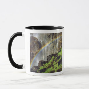 Caneca EUA, Califórnia, Parque Nacional de Yosemite. A
