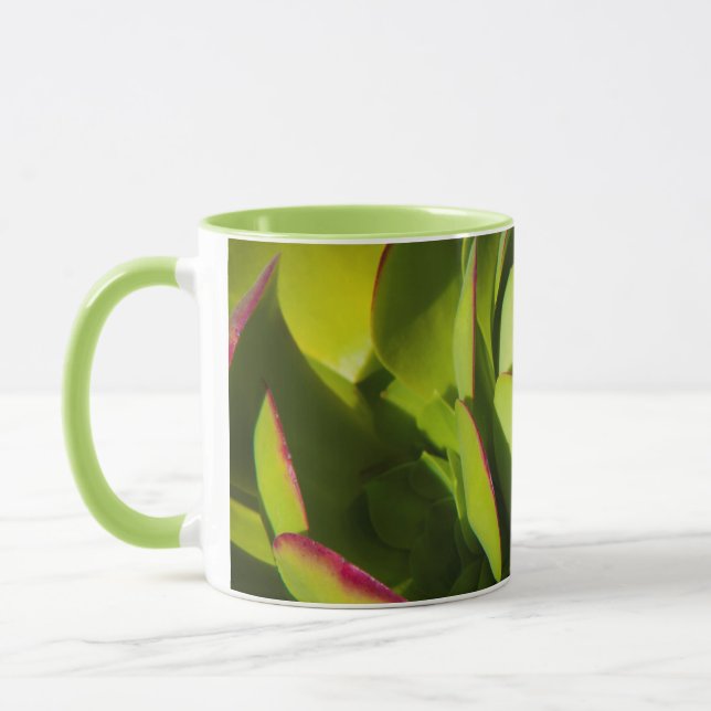 Caneca EUA, Califórnia. Planta de Lobelia Gigante Fechada (Esquerda)