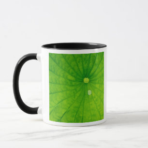 Caneca EUA; Carolina do Norte; Folha de lótus com gota de