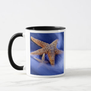 Caneca EUA, Carolina do Sul, Ilha de Hilton Head. Dois