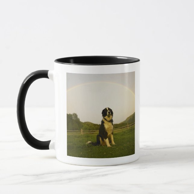 Caneca EUA, Colorado, castelo novo (Esquerda)