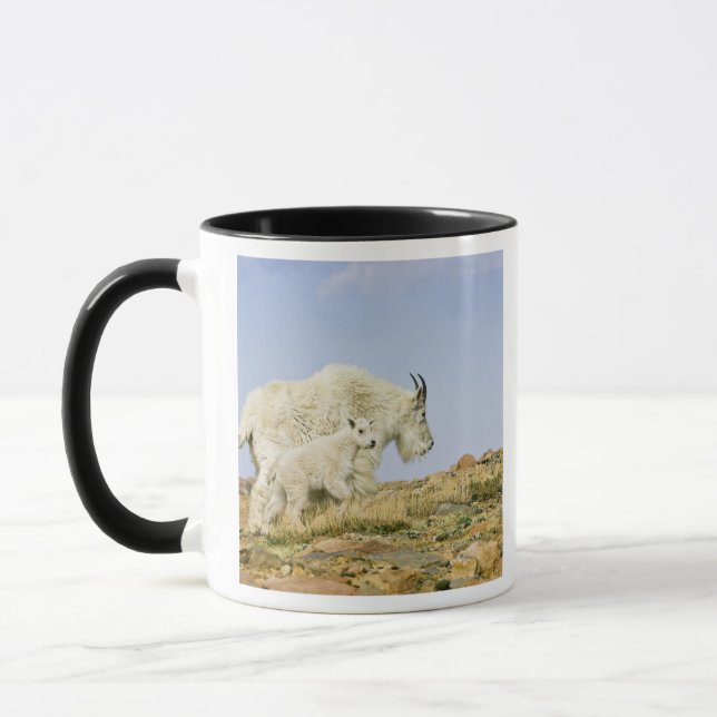 Caneca EUA, Colorado, Montanhas Rochosas, Monte Evans, (Esquerda)