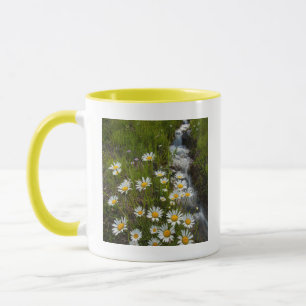 Caneca EUA, Colorado, Montanhas San Juan. Margaridas