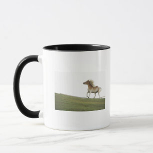 Caneca EUA, Estados de Nova Iorque, Hudson, cavalo que