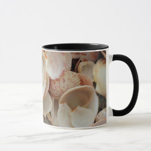 Caneca EUA, Flórida. Close Up De Conchas Em Santa Rosa