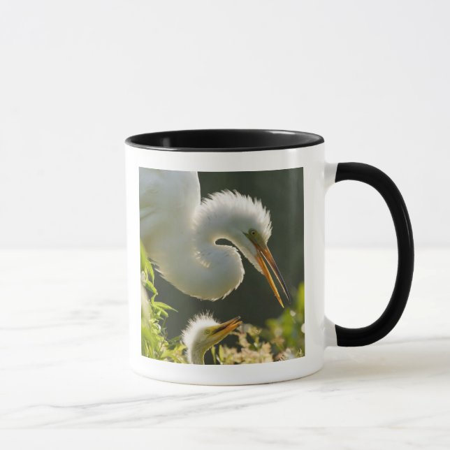 Caneca EUA, Flórida, St. Augustine, Fazenda de jacarés (Direita)