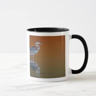 Caneca EUA, Flórida, St. Petersburg, Fort De Soto 2